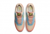 AIR MAX 1 LIGHT MADDER ROOT WORN  BLUE [DV3196-800]