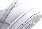 DUNK LOW WHITE PURE PLATINUM [DV0831-101]