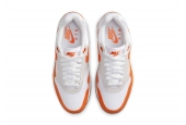 AIR MAX 1 SAFETY ORANGE [DZ2628-002]