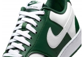 COURT VISION LOW "CUT GREEN WHITE" [HM9862-300]