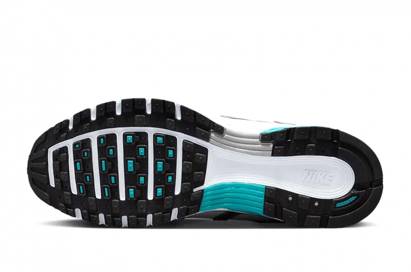 P-6000 DUSTY CACTUS [CD6404-103]