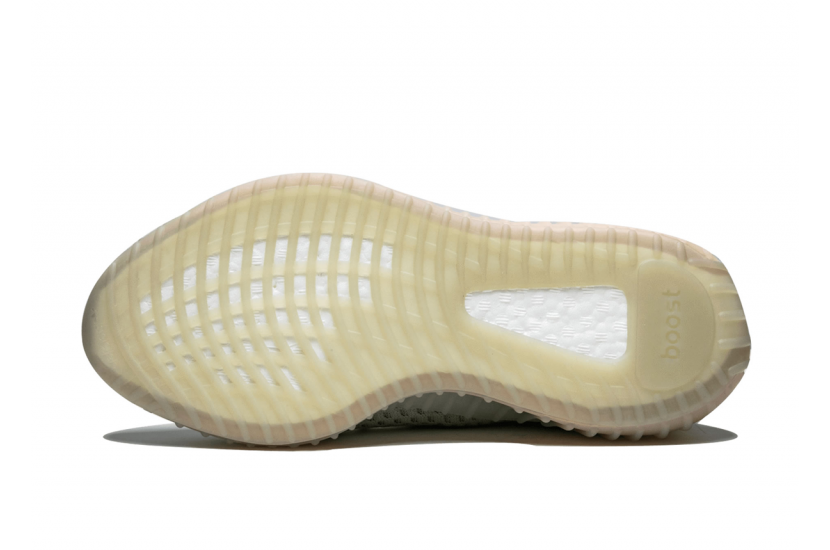 ADIDAS YEEZY 350 V2 TRUE FORM [EG7492]