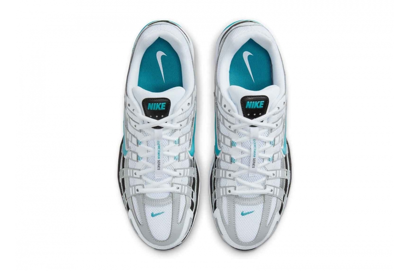 P-6000 DUSTY CACTUS [CD6404-103]