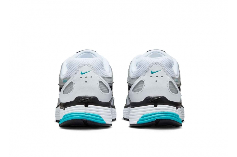 P-6000 DUSTY CACTUS [CD6404-103]