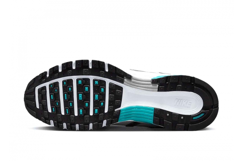 P-6000 DUSTY CACTUS [CD6404-103]